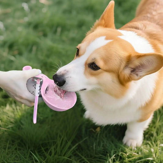 Caninespiration